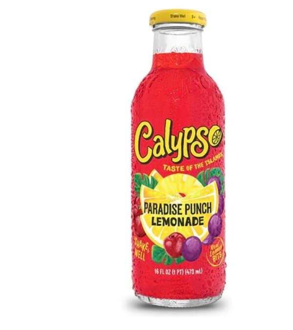 Calypso Paradise Punch Lemonade 12x473mL