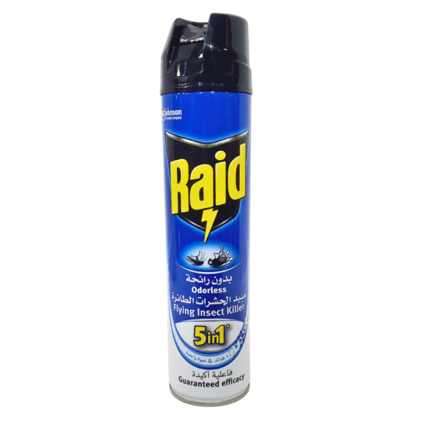 Raid Spray Odorless Flying Insect Killer 400g